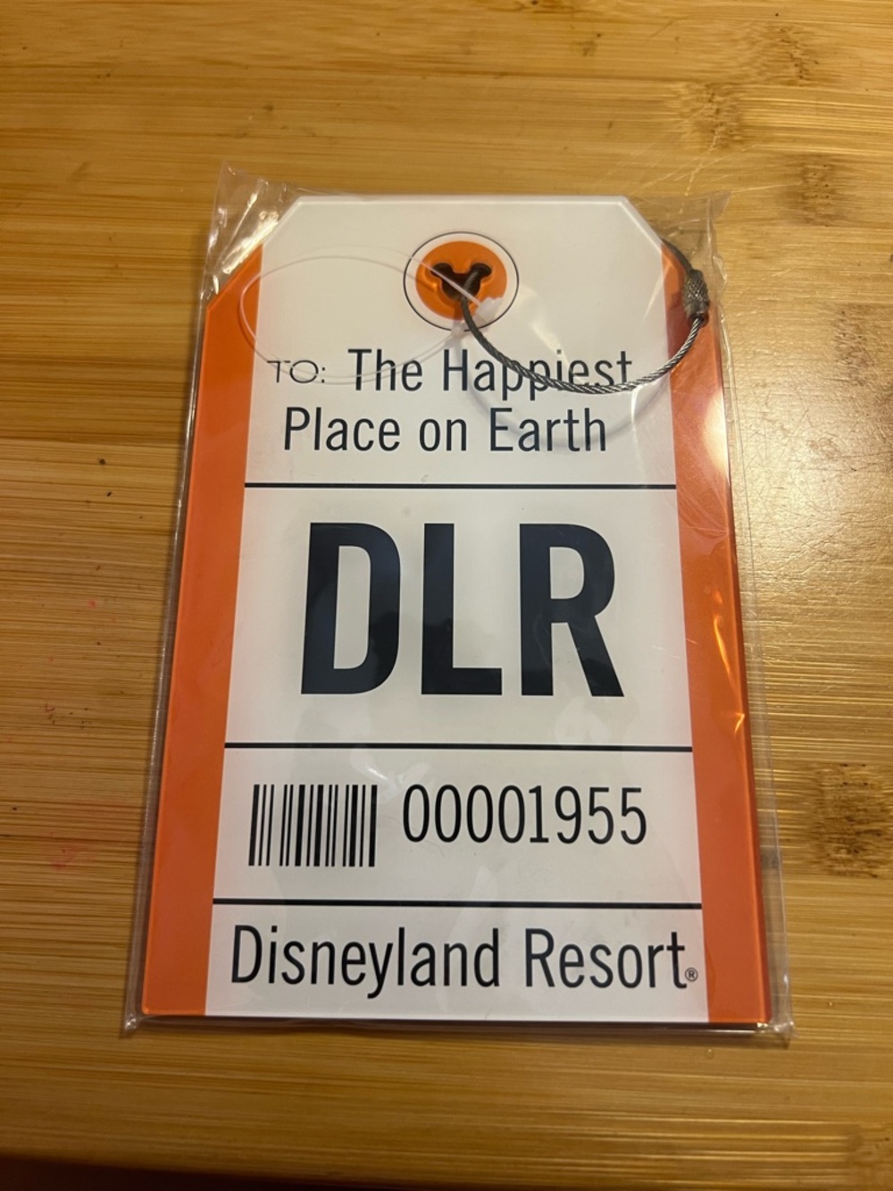 Large Disney DLR Acrylic Luggage Hangtag (NWT)